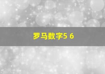 罗马数字5 6